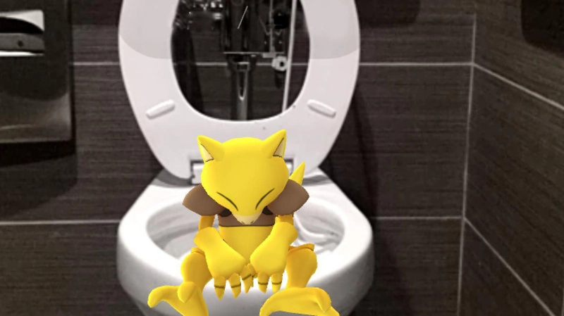 «Ловил покемонов». Сахалинец рассказал, зачем залез в женский туалет ТЦ