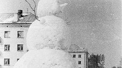 Сахалинцы гадают, как на улице слепили 10-метрового снеговика