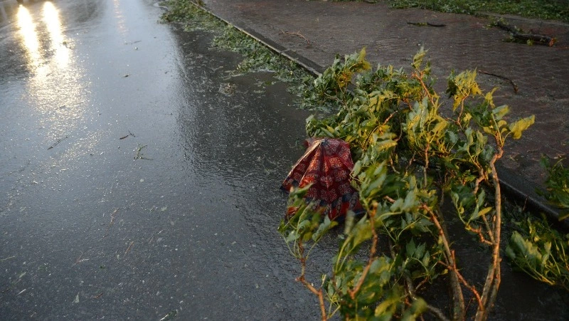Волновые циклоны несут на Сахалин и Курилы сильный дождь и снег