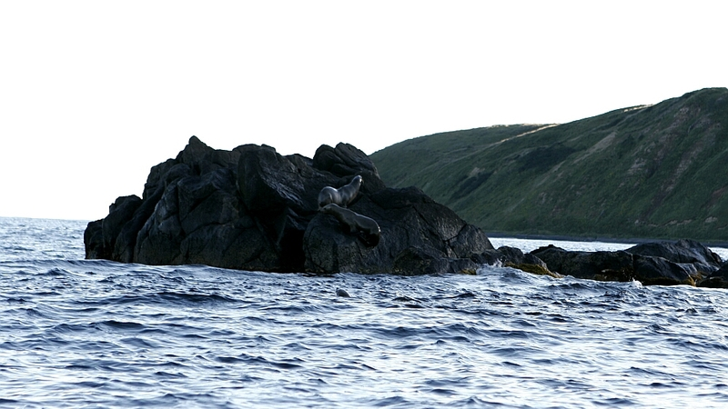 Предложенные сахалинцами имена появятся на карте страны