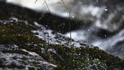 Проливные дожди пройдут на Северных Курилах 5 мая