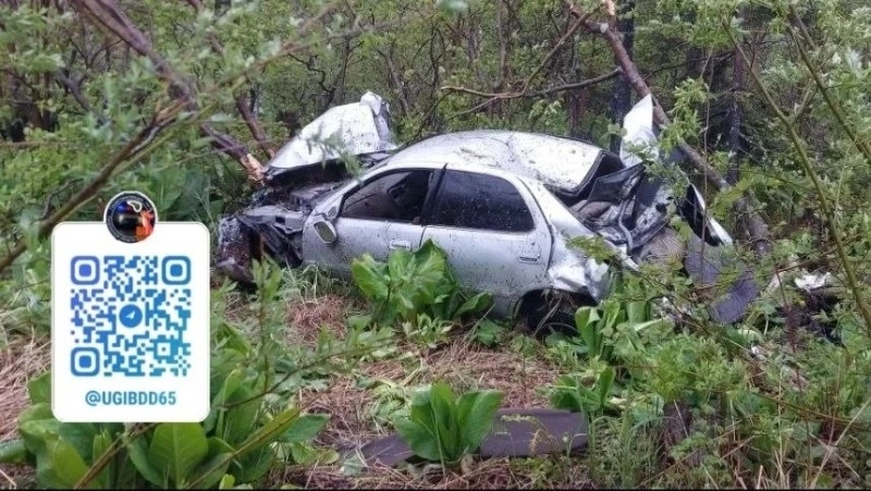 Водитель на Toyota Cresta перевернул автомобиль и скрылся с места ДТП в Корсаковском районе