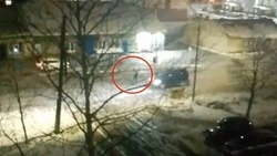 Сахалинец чуть не попал под машину, пока выкрикивал оскорбления посреди дороги