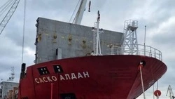 Судно «САСКО Алдан» с 260 тоннами товаров прибыло через Севморпуть на Сахалин