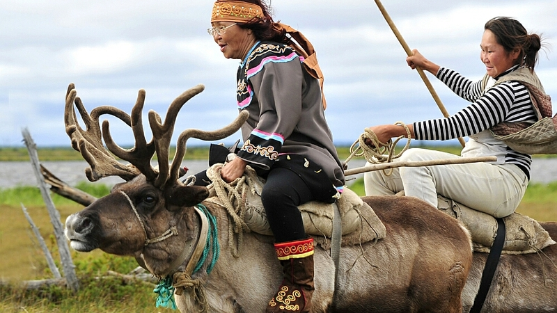 Рогатые ресурсы