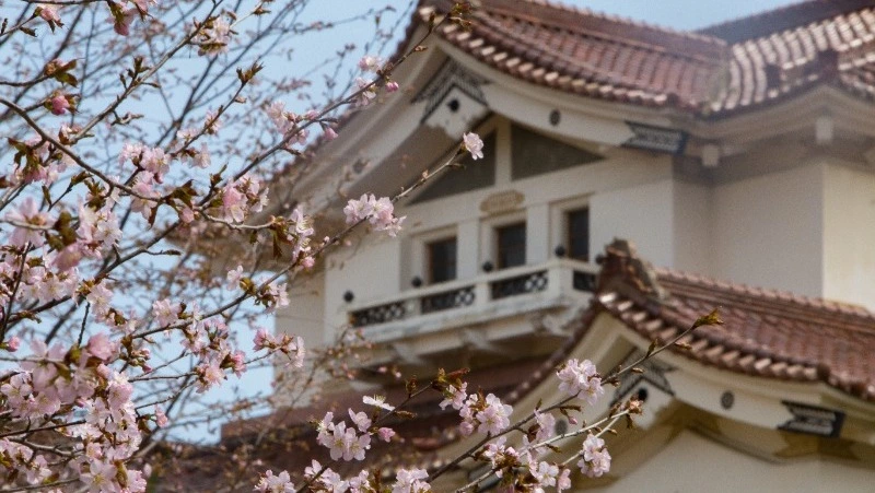 Потепление до +21 градуса спрогнозировали для Южно-Сахалинска на 15 мая