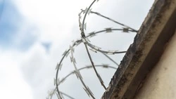 Житель Поронайска отправился в колонию на два года за прогулы в инспекции