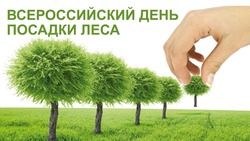 Всероссийский день посадки леса 2025: картинки к празднику
