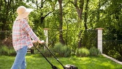 Россиян будут штрафовать за заросли борщевика на собственных дачах