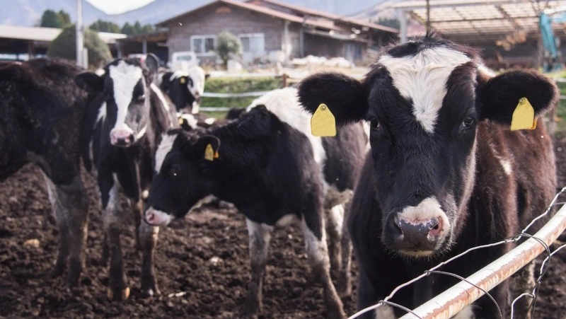 Церковный праздник 27 января 2025: что нельзя делать в этот день, приметы