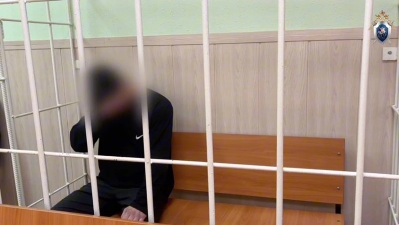 Подозреваемому по резонансному делу в Корсакове предъявлено обвинение в убийстве