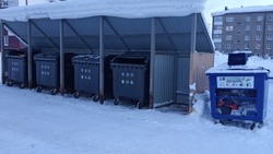 Жители Сахалина в январе отсортировали 170 тонн мусора