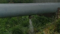 «Так должно быть?»: протекающая труба над рекой заинтересовала жителей Корсакова