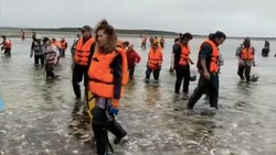 Толпы туристов собрались на озере Буссе за сбором моллюсков