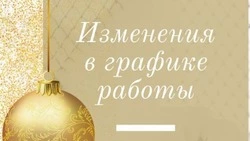 В канун Нового года и сразу после для посетителей закроют зоопарк Южно-Сахалинска 