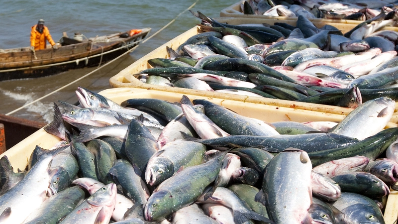 Не спешите складывать сети