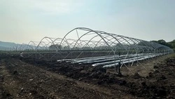 На Сахалине построят первые в ДФО теплицы для выращивания ягоды 