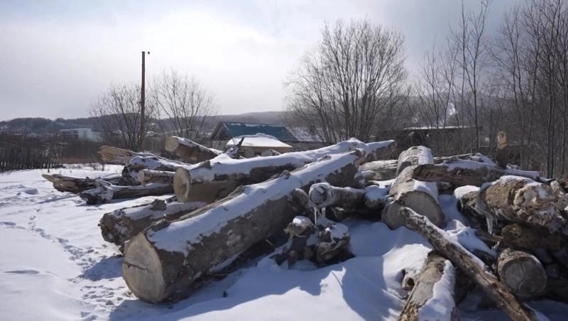 Берегоукрепление - превентивны метод борьбы с наводнениями. Среда обитания 21.03.24