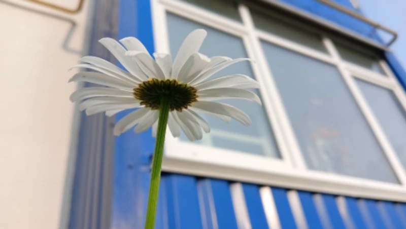 Синоптики прогнозируют солнечную погоду в Сахалинской области 17 июля 