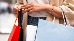 Более 69% жителей Дальнего Востока планируют участвовать в ноябрьских распродажах