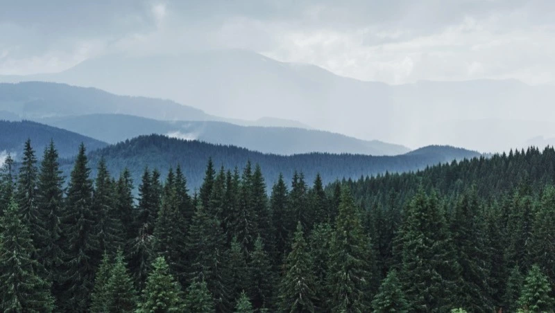 Минэкономразвития: сахалинский эксперимент пока не расширят на другие регионы