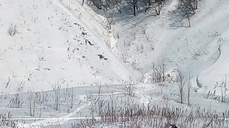 На Сахалине 10-летний мальчик ночь провел в сугробе у моря и выжил