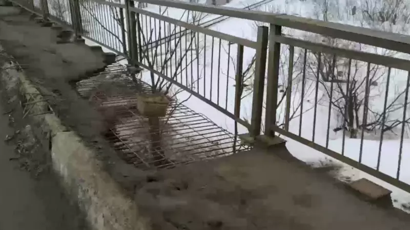 Сахалинец, который не признает транспорт, каждый день вынужден ходить по дырявому мосту