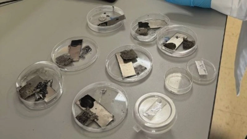 Батарейки из водорослей