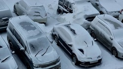 Циклоны принесут сильный снег и порывистый ветер на Сахалин 