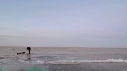 Автомобиль с тремя рыбаками провалился под лед в Приморье, погибли два человека