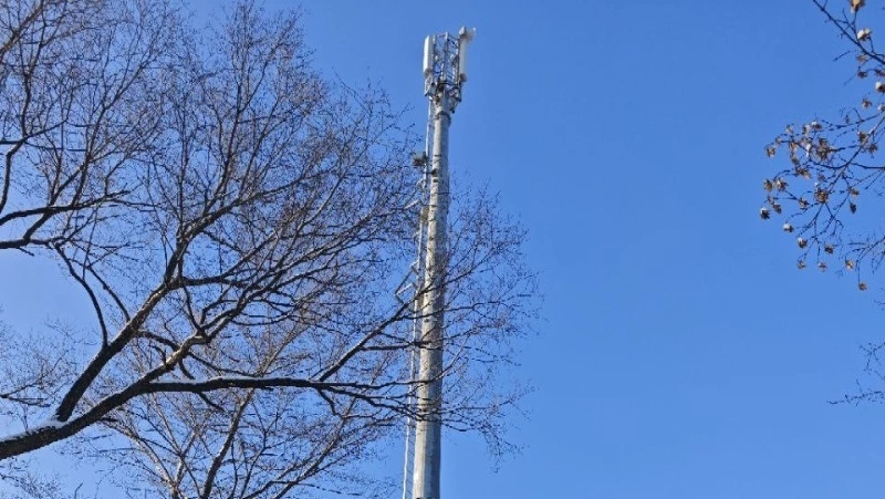 Жители сахалинских сел наращивают мобильный трафик в сети «Мегафон»