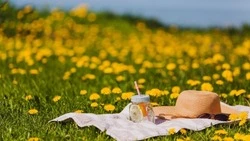 Теплый и солнечный день спрогнозировали синоптики в Южно-Сахалинске на 15 июля