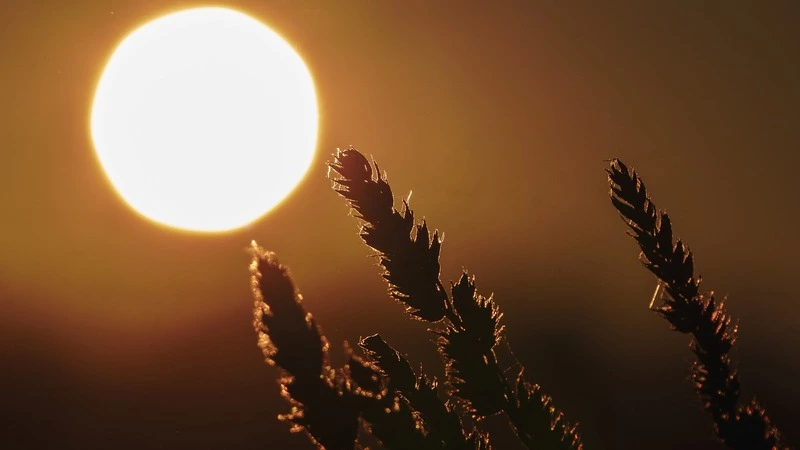 Солнце светит, но не греет: на Сахалине холодает, на Курилах снег с дождем