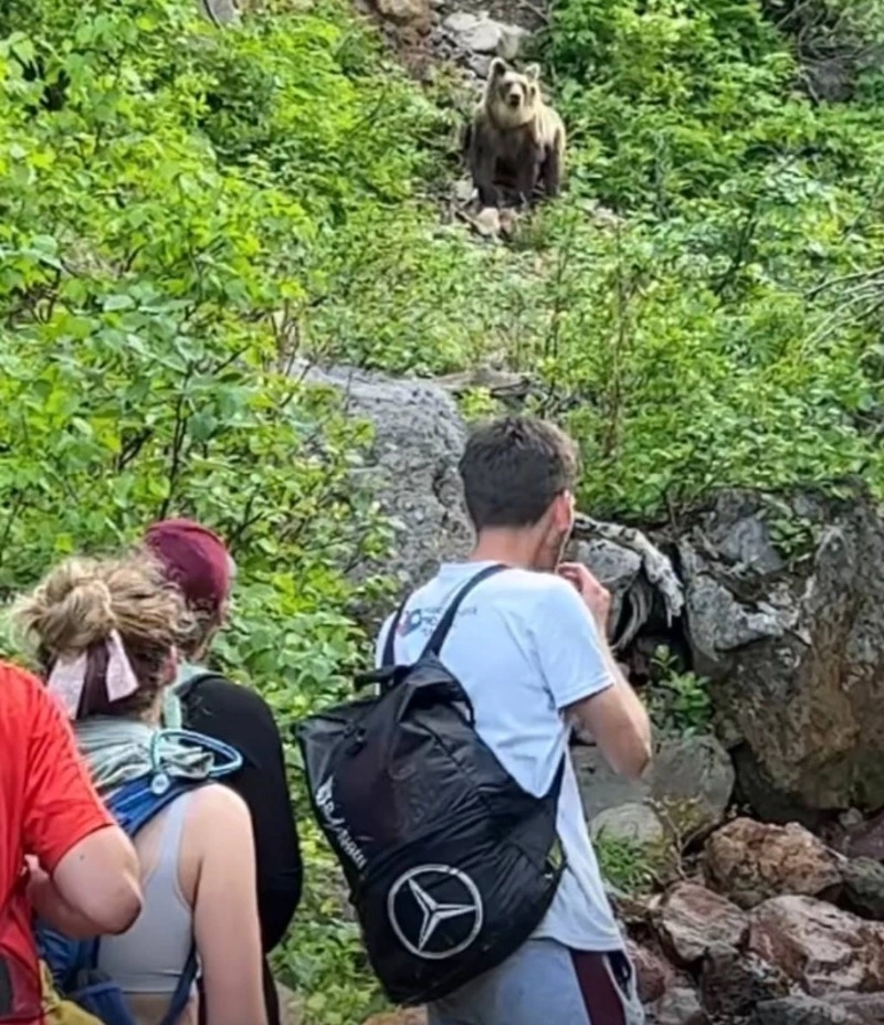 «Ребята, attention!»: Медведь вышел к группе туристов на Итурупе