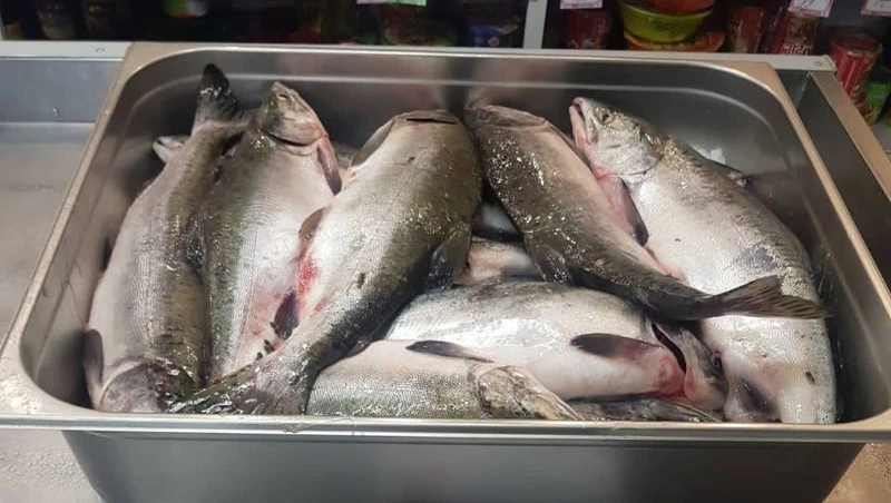 Время продажи свежей горбуши 31 августа назвали в Южно-Сахалинске