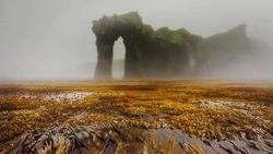 Снимок Симушира победил в фотоконкурсе Русского географического общества