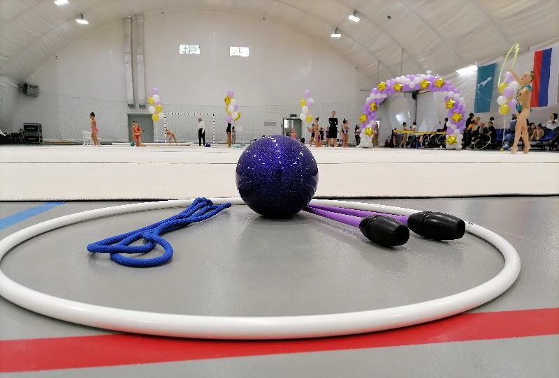 Талантливых гимнасток определит региональное первенство на Сахалине