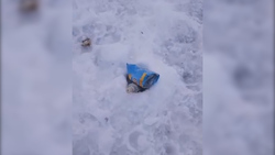 Ледяная поверхность сахалинского Изменчивого медленно превращается в свалку