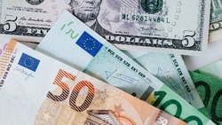 Максимальный курс евро на утро 25 февраля составил 101,8 рубля