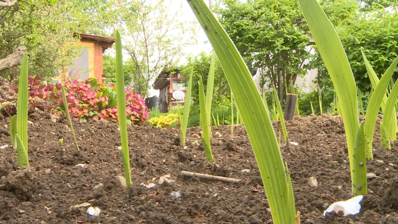 Сахалинские пенсионеры теперь могут записаться на прием к врачу по телефону 1-300