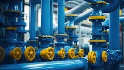 Индия может увеличить закупки газа на Сахалине