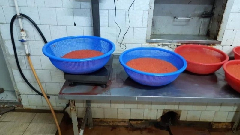 Владелец рыбного цеха ответит в суде за оборот немаркированной икры на Сахалине