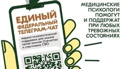 Единый федеральный чат Комитета семей воинов Отечества работает в круглосуточном режиме