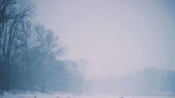 Школьников Охинского района перевели на дистанционный режим из-за циклона 30 ноября