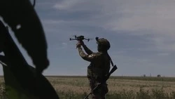 ВС РФ освободили село Лисичное в ДНР: ход СВО на 12 августа