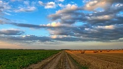 Сахалинским совхозам дадут больше денег из бюджета области