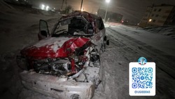 ГАИ: водитель, пострадавший в ДТП с поездом в Томари, виноват сам 