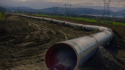 «Сахалинморнефтегаз» отчитался о процессе ликвидации последствий разлива нефти в тайге