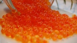 Росрыболовство: россияне не останутся без красной икры на Новый год 2026
