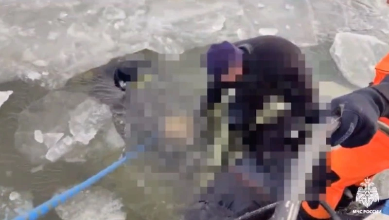 Автомобиль рыбаков провалился под лед в Приморье, два человека погибли